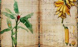 Featured image of post Daily reflection - Plans to sleep before work and listen to Tunisian music.