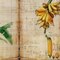 Daily reflection - Plans to sleep before work and listen to Tunisian music.